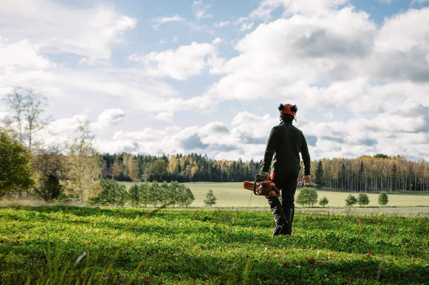 Need Chainsaw Advise?